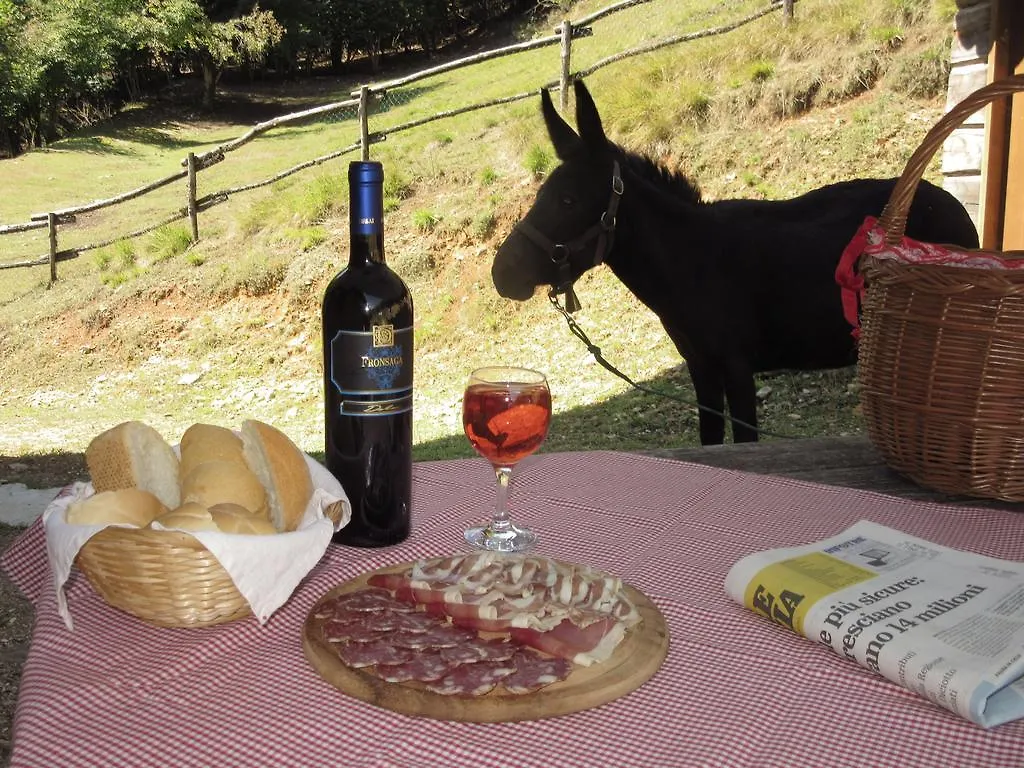 Agriturismo Agrimon Vila Sabbio Chiese Alojamento de Turismo Rural